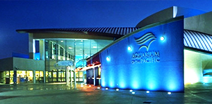 Aquarium of the Pacific - Long Beach